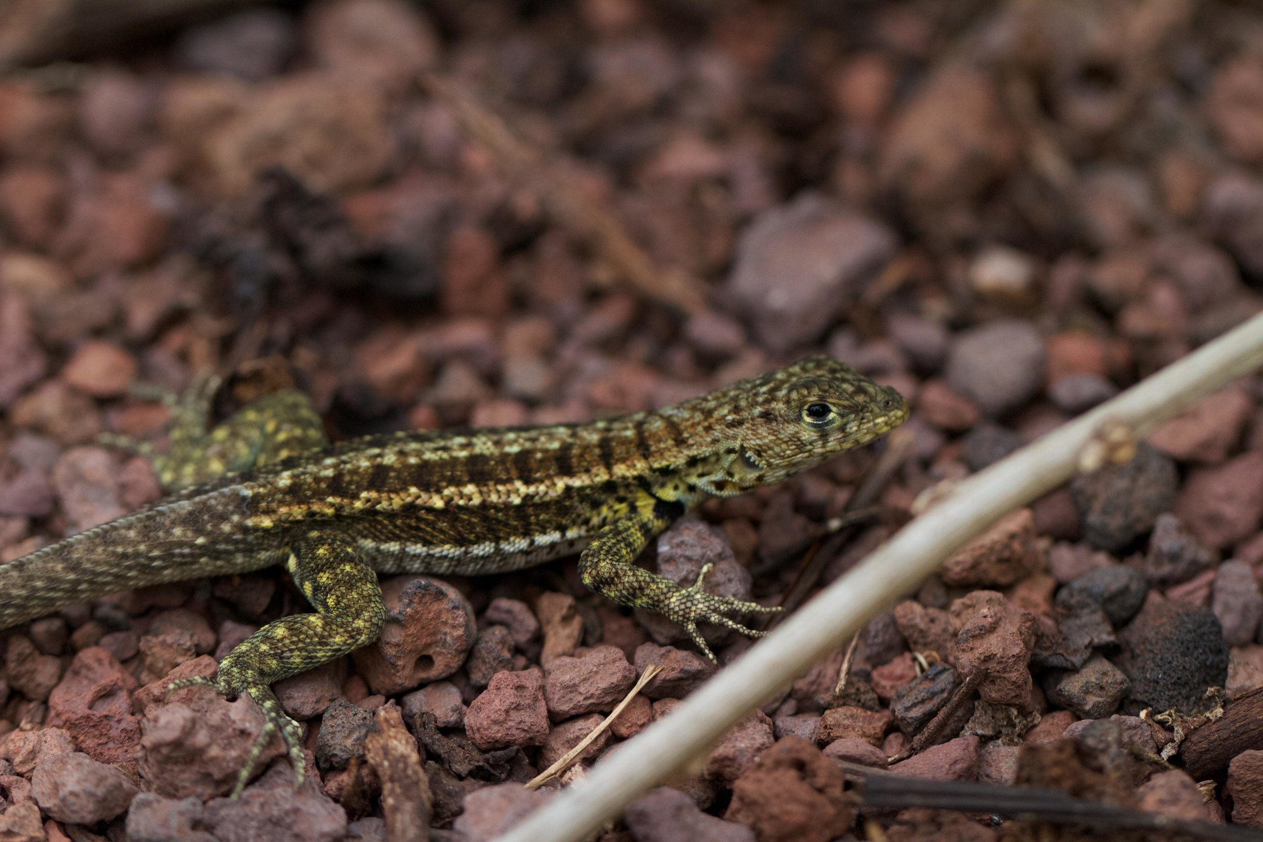 ECUADOR_2014 194.jpg