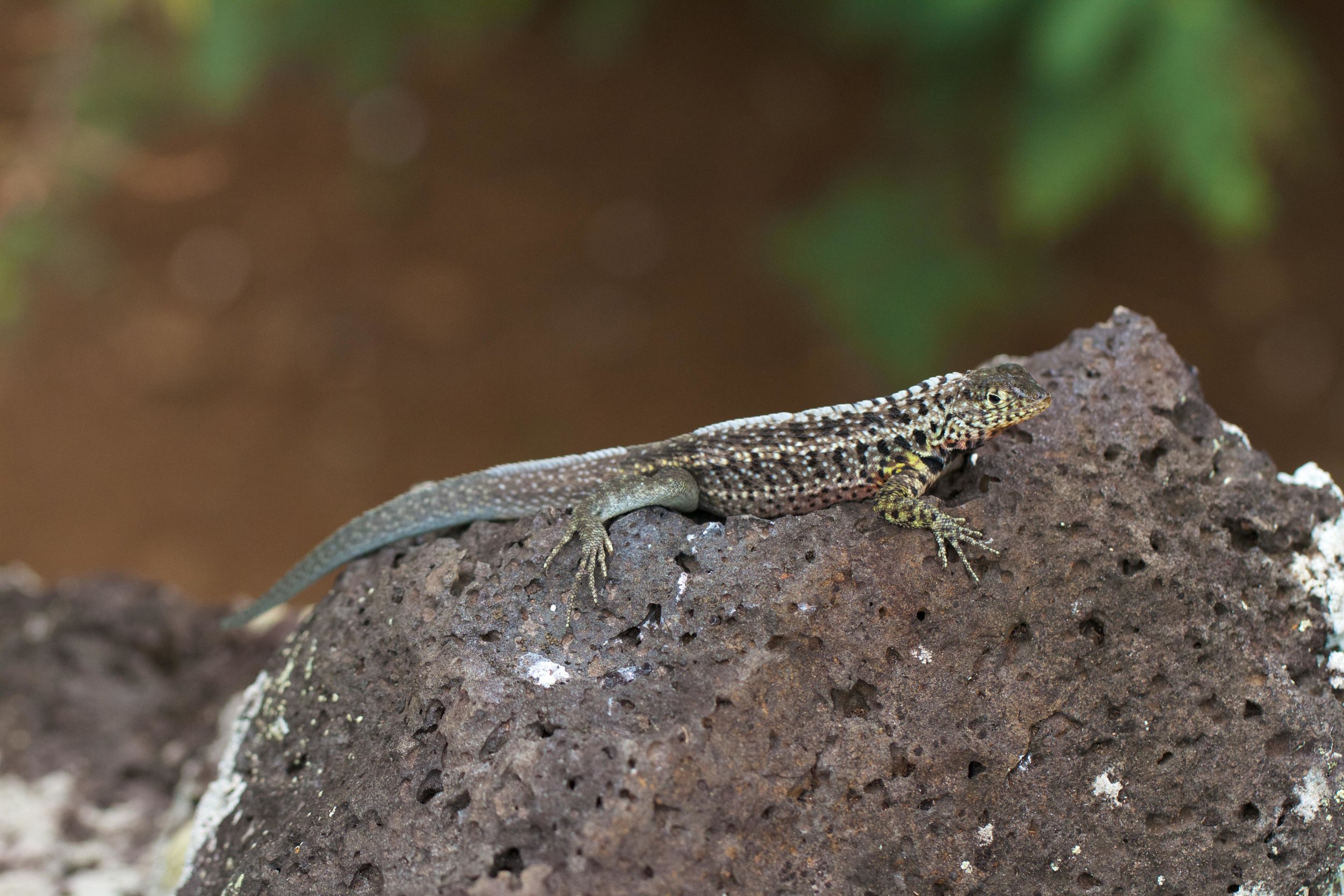 ECUADOR_2014 201.jpg