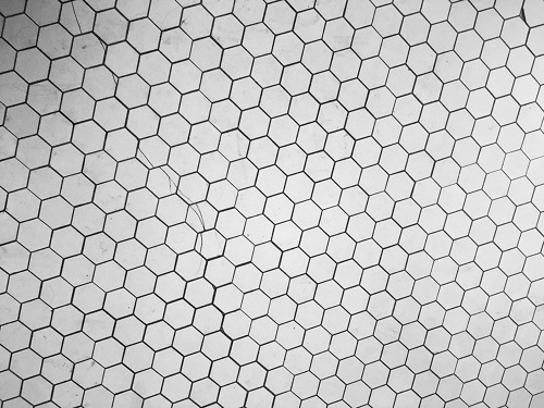 prt_500x375_1496706301.jpg
