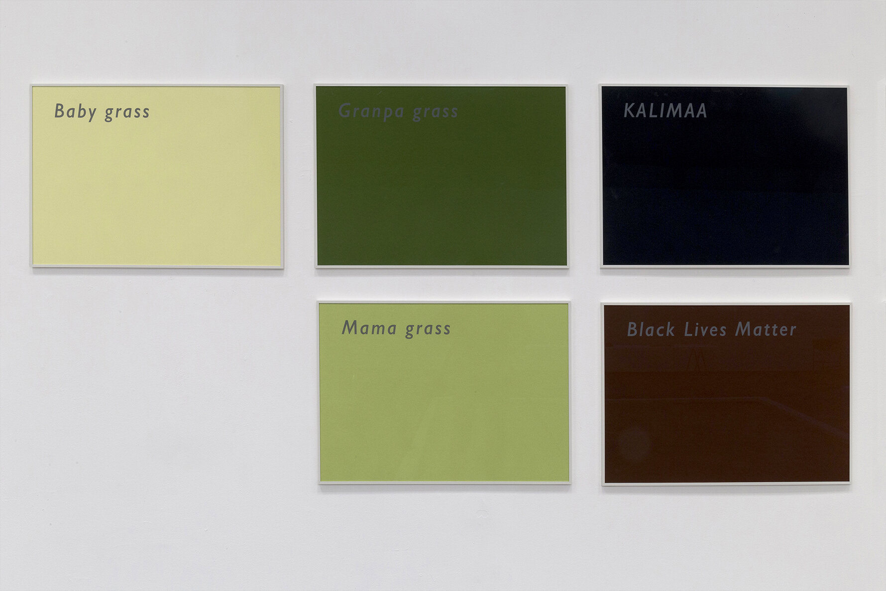 Martin La Roche, Gamma colours, 2021, 12 Silkscreen prints of renamed paint samples by a therapy group at Kings County Hospital  _Photo by Ilya Rabinovich.jpg