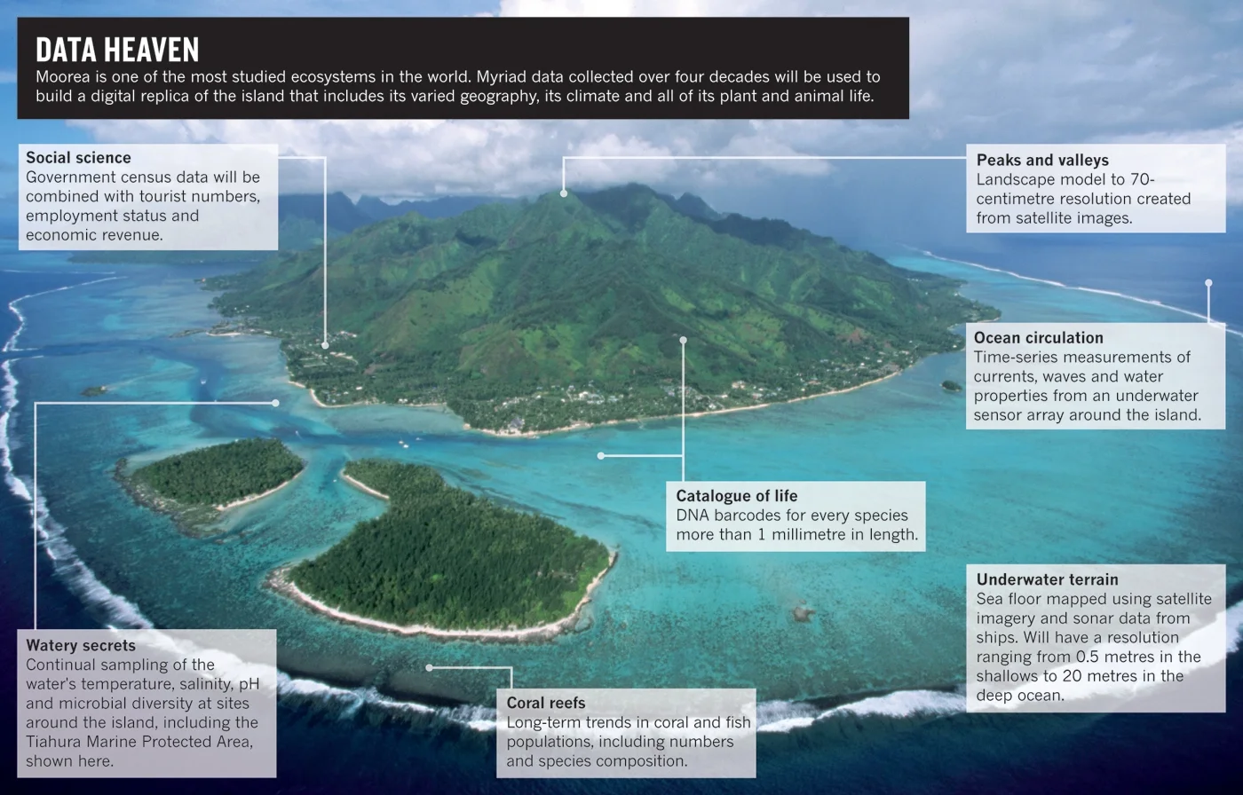 Moorea.jpg