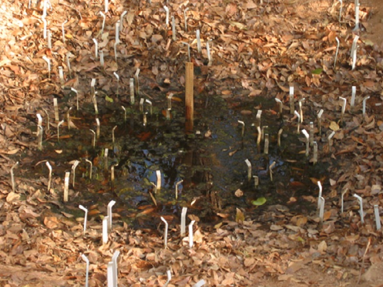 2015 05 04 intermittent pool bed from phd.png