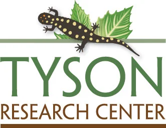 2016 08 05 Tyson_Logo.jpg