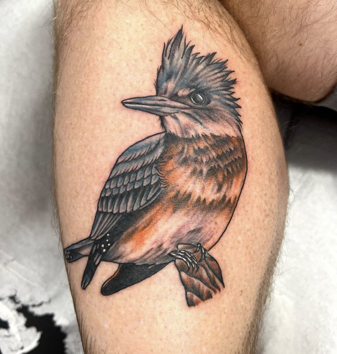 Bird Tattoos  80 Coolest Never Seen Before Bird Tattoos Design  Ideas