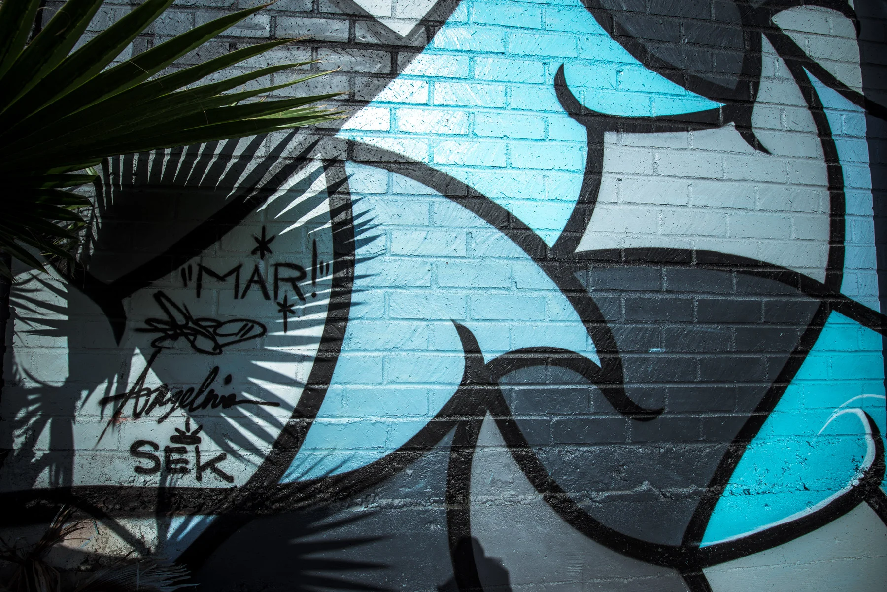 On Location: Downtown LA Street Art