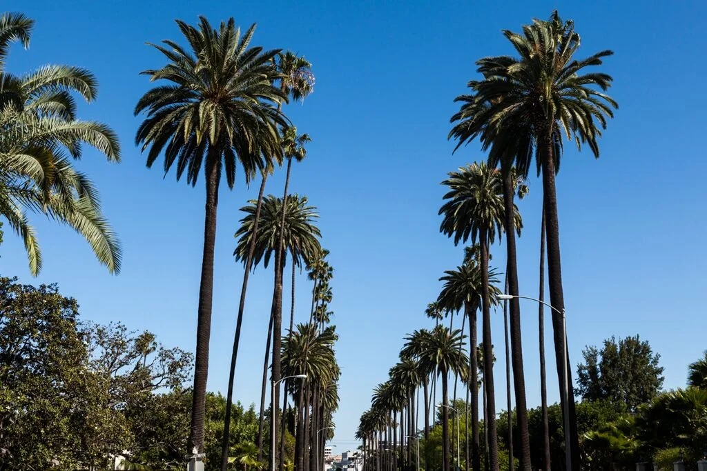 Iconic Los Angeles Driving Tour