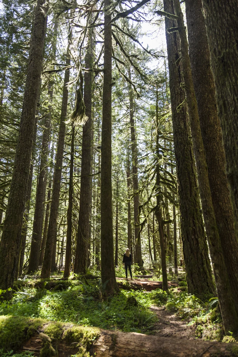 Calming the Inner Storm of Production