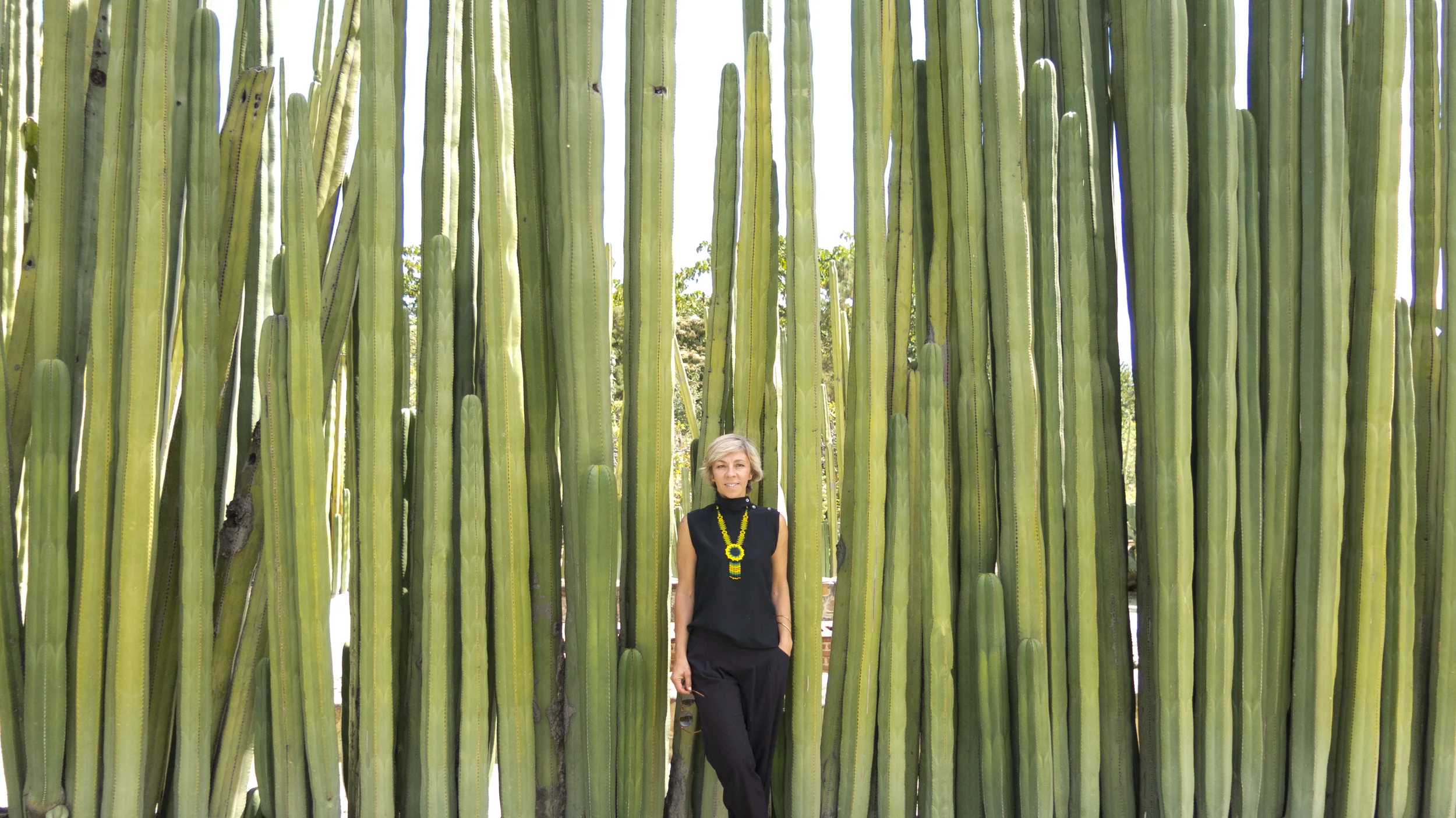 LA Stylist Elwira Miezal