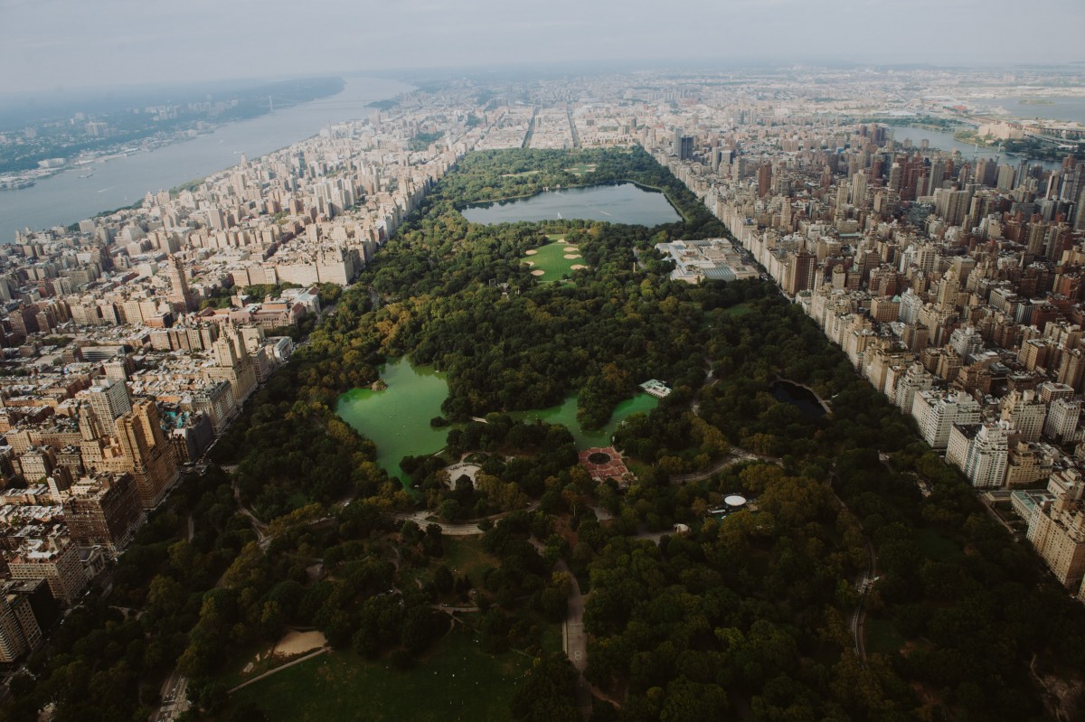 NYC: APA NY - How to Land a Job: Advertising - Panel Discussion