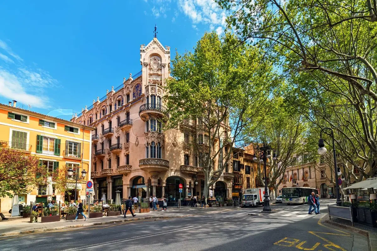  © 2019 Colourbox., Palma City 