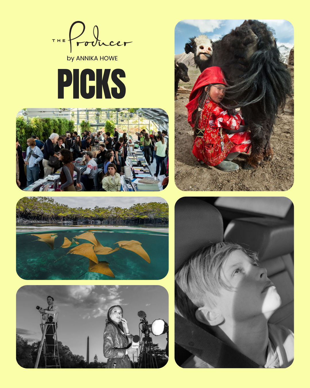 Weekly Round Up of the Week of the July 27