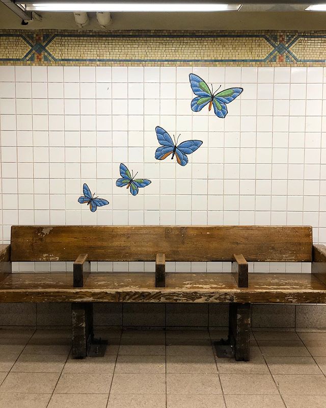 5 Avenue - 59th Street Station 🦋