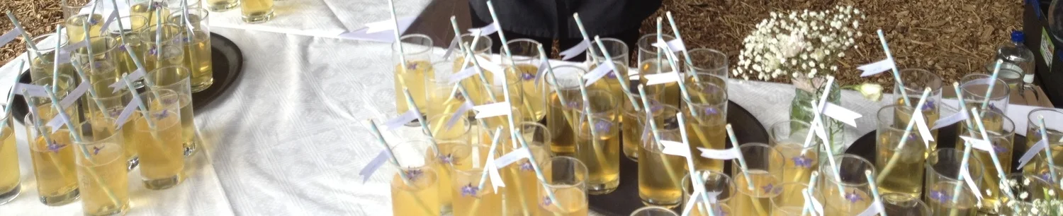 Tankards of PJ taste cide punch 12082012.jpg