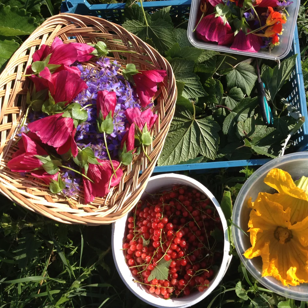 A menu inspired by the Himalayan garden at the Botanical Gardens