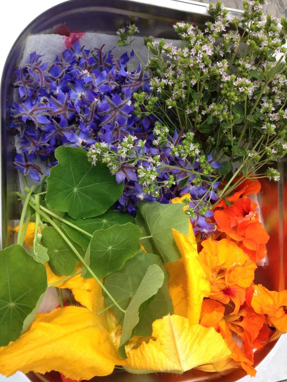 Autumn pleasures - a forager's dream