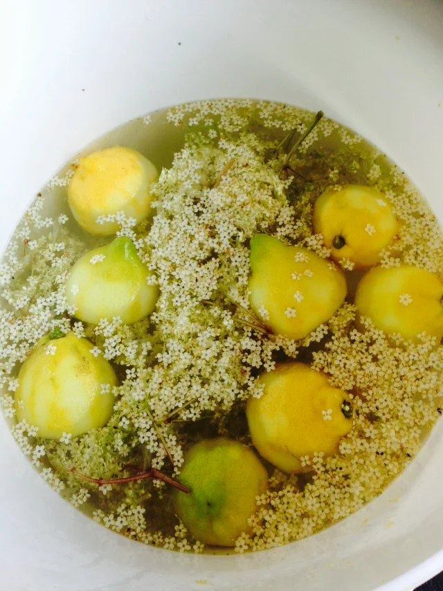 ElderFlowerChampagne_PJtaste.jpg