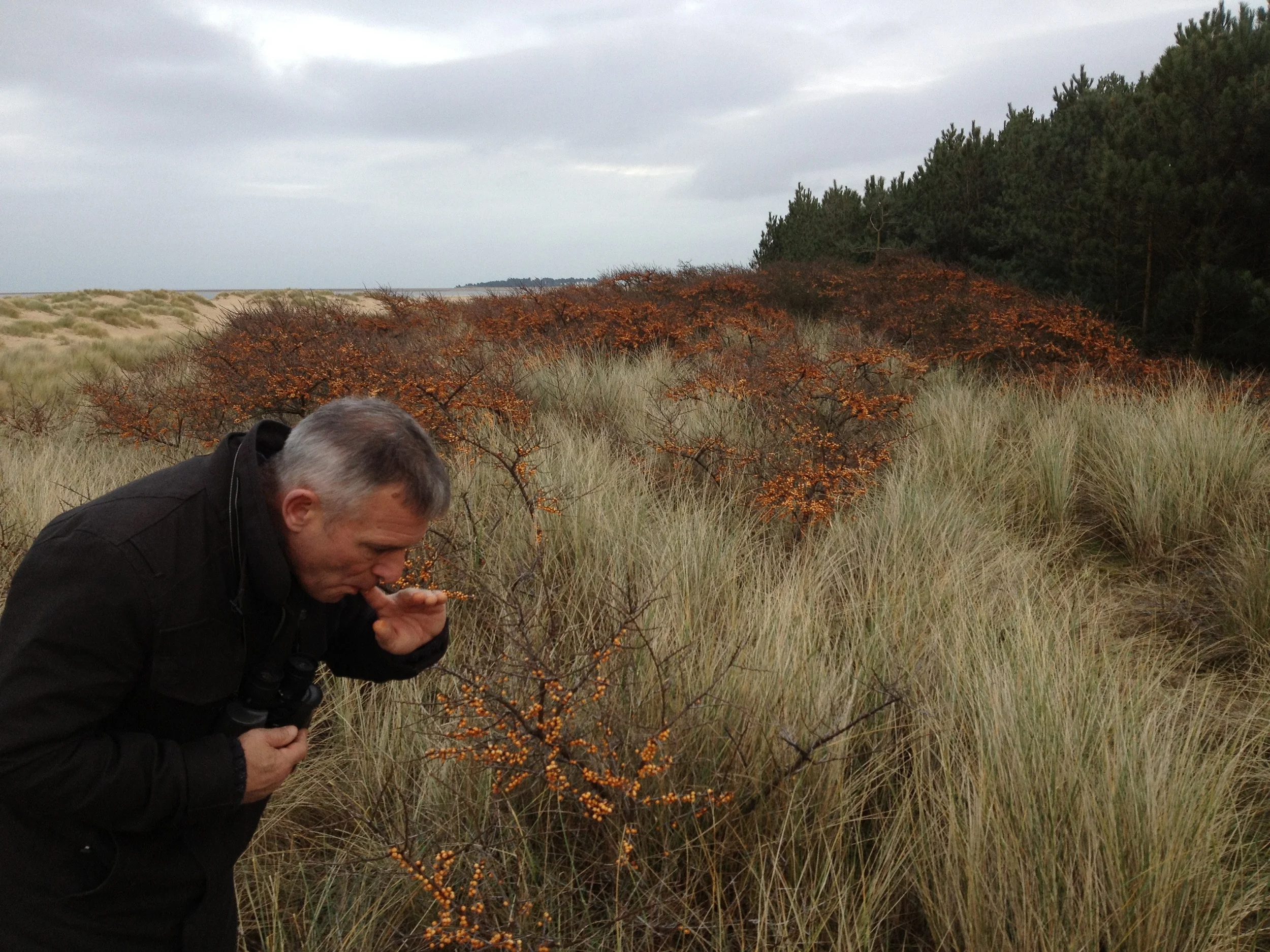 Foraging for ingredients
