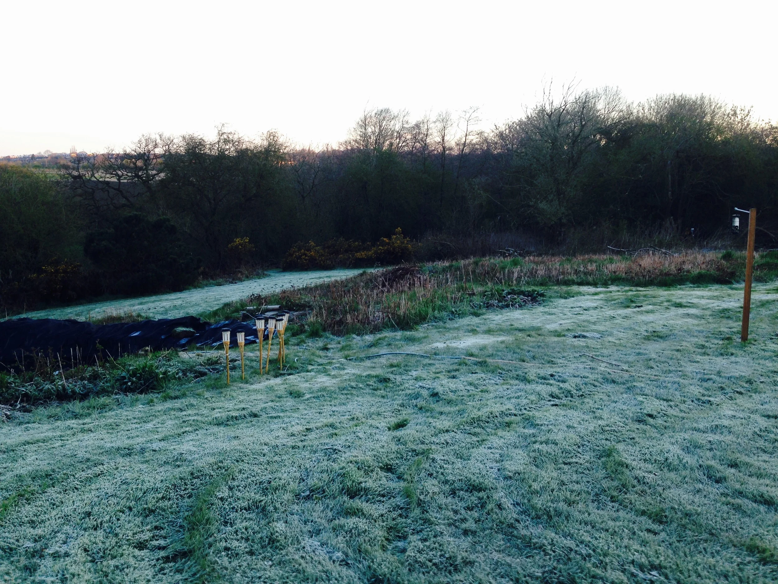 The blank canvas upon which we will be planting our forrest garden