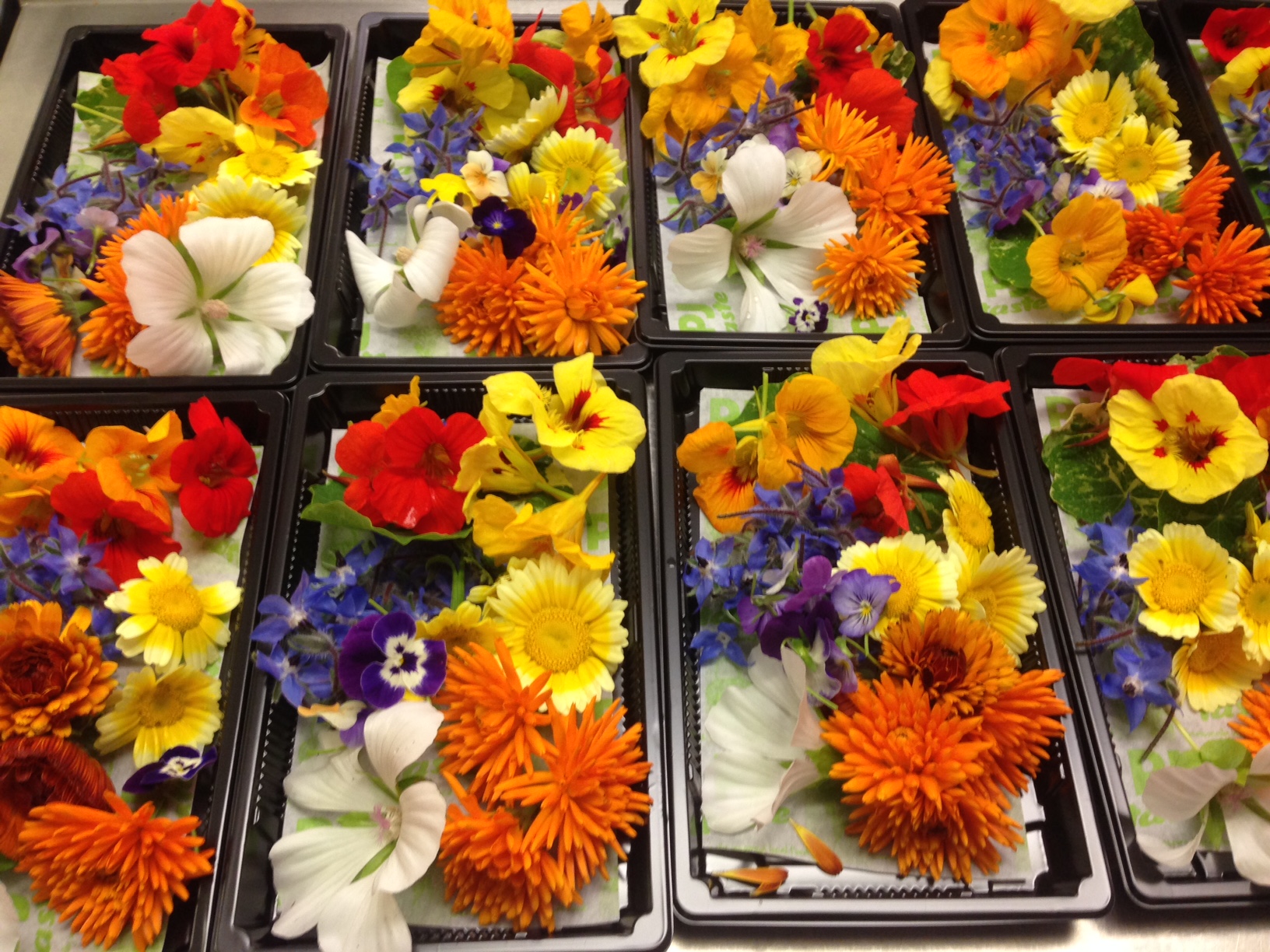 Selection of PJ taste grown edible flowers