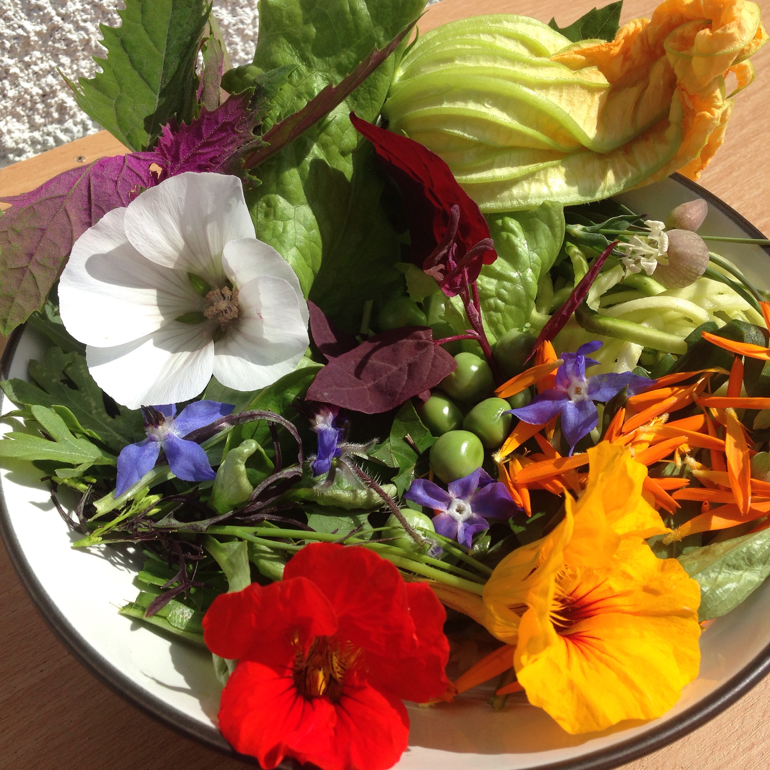 Edible flowers all grown by PJ taste