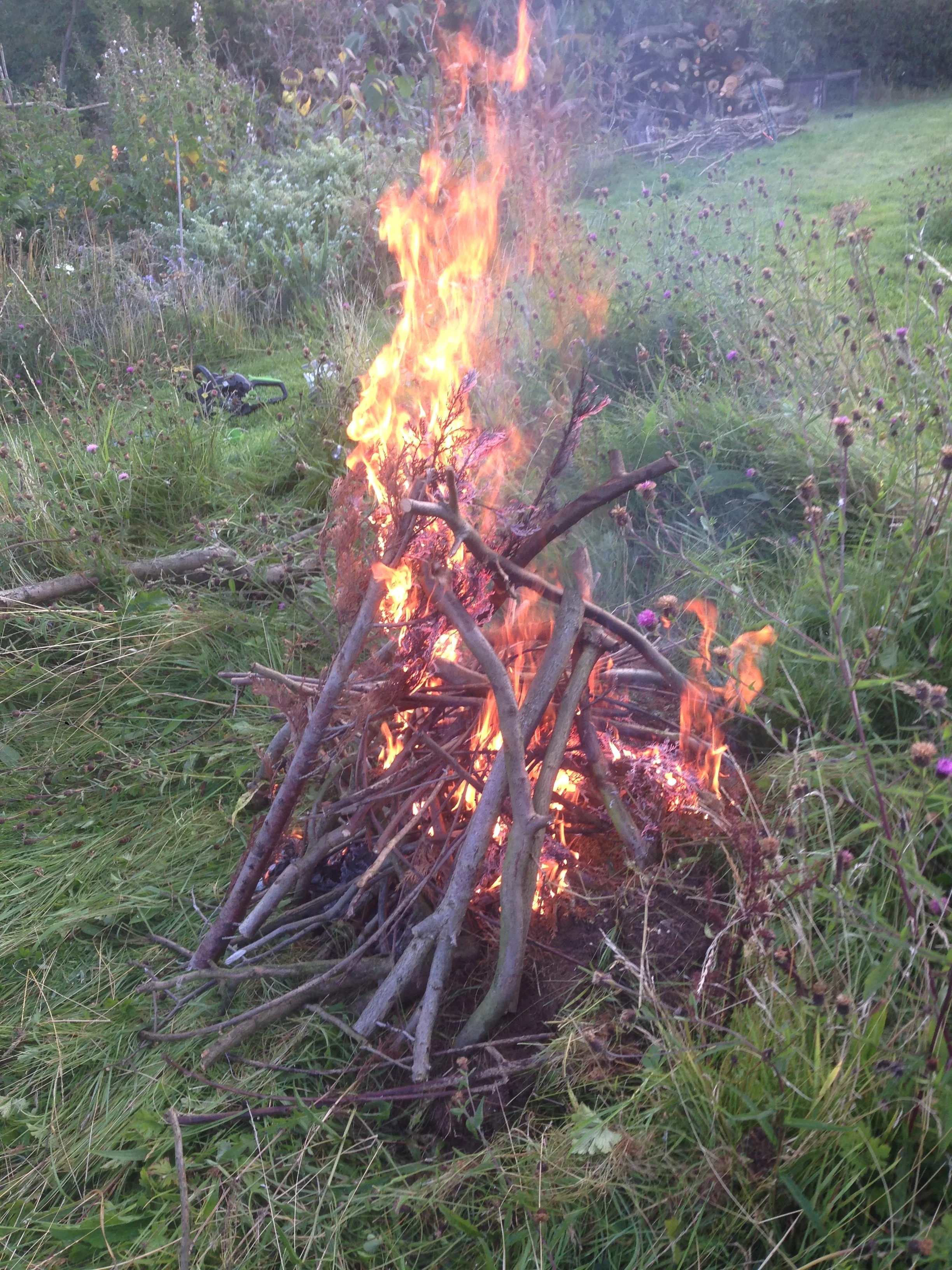 Fire for Asado