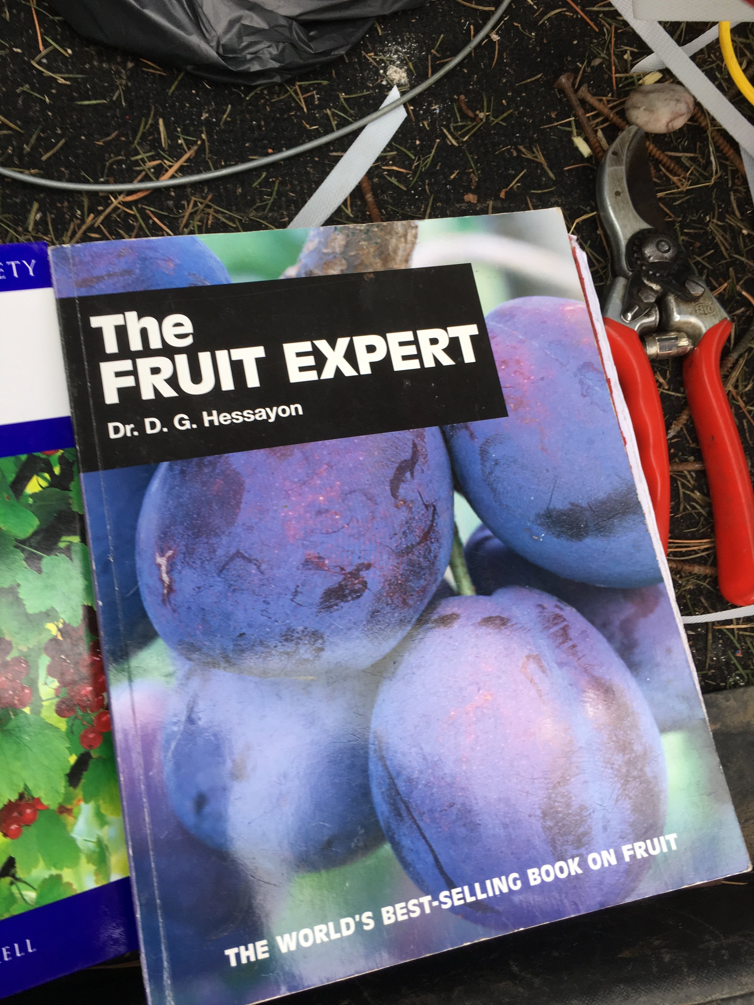 The fruit expert- a book with great pruning advice