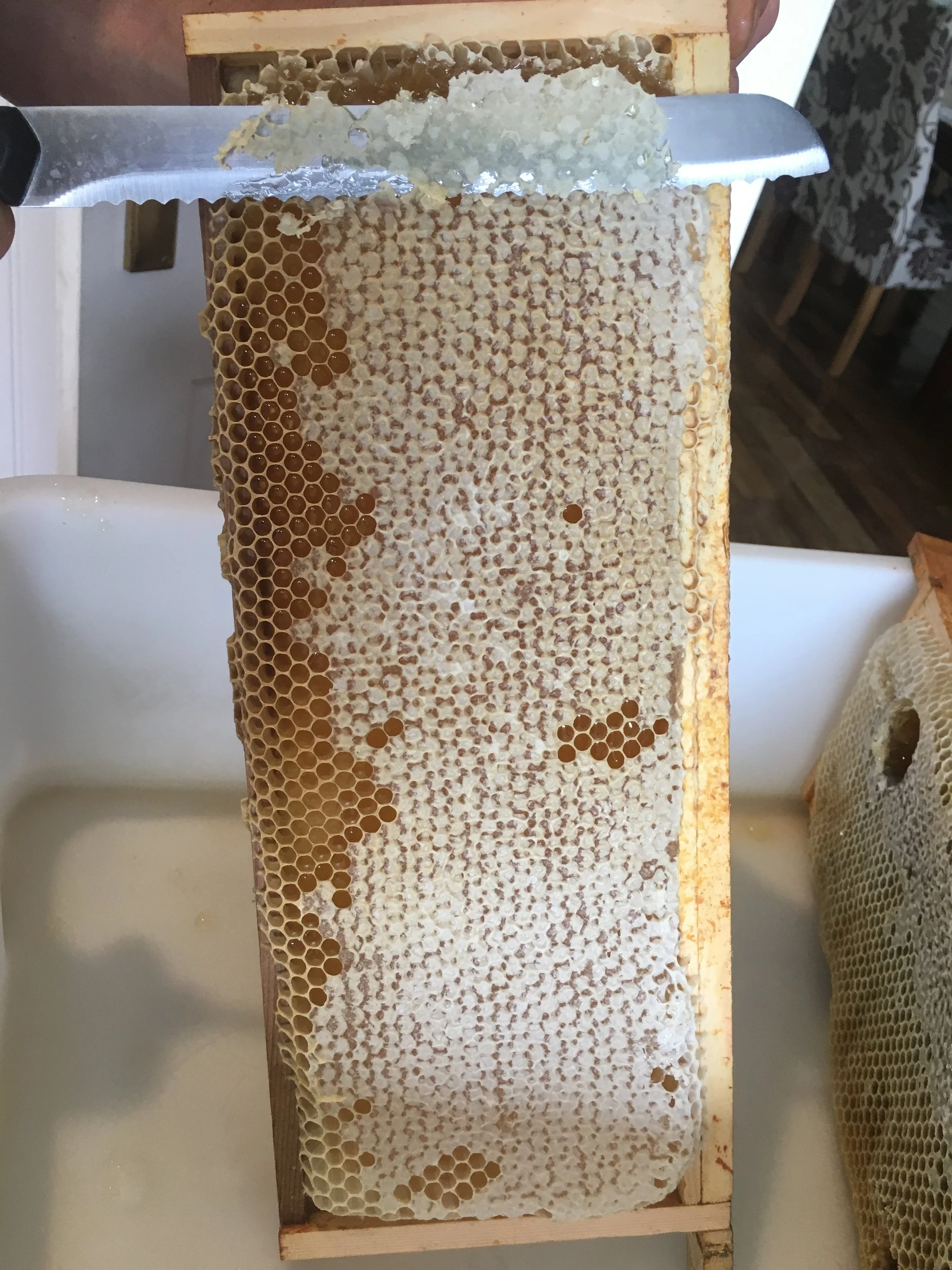 Honey - From PJ taste - Bees.JPG