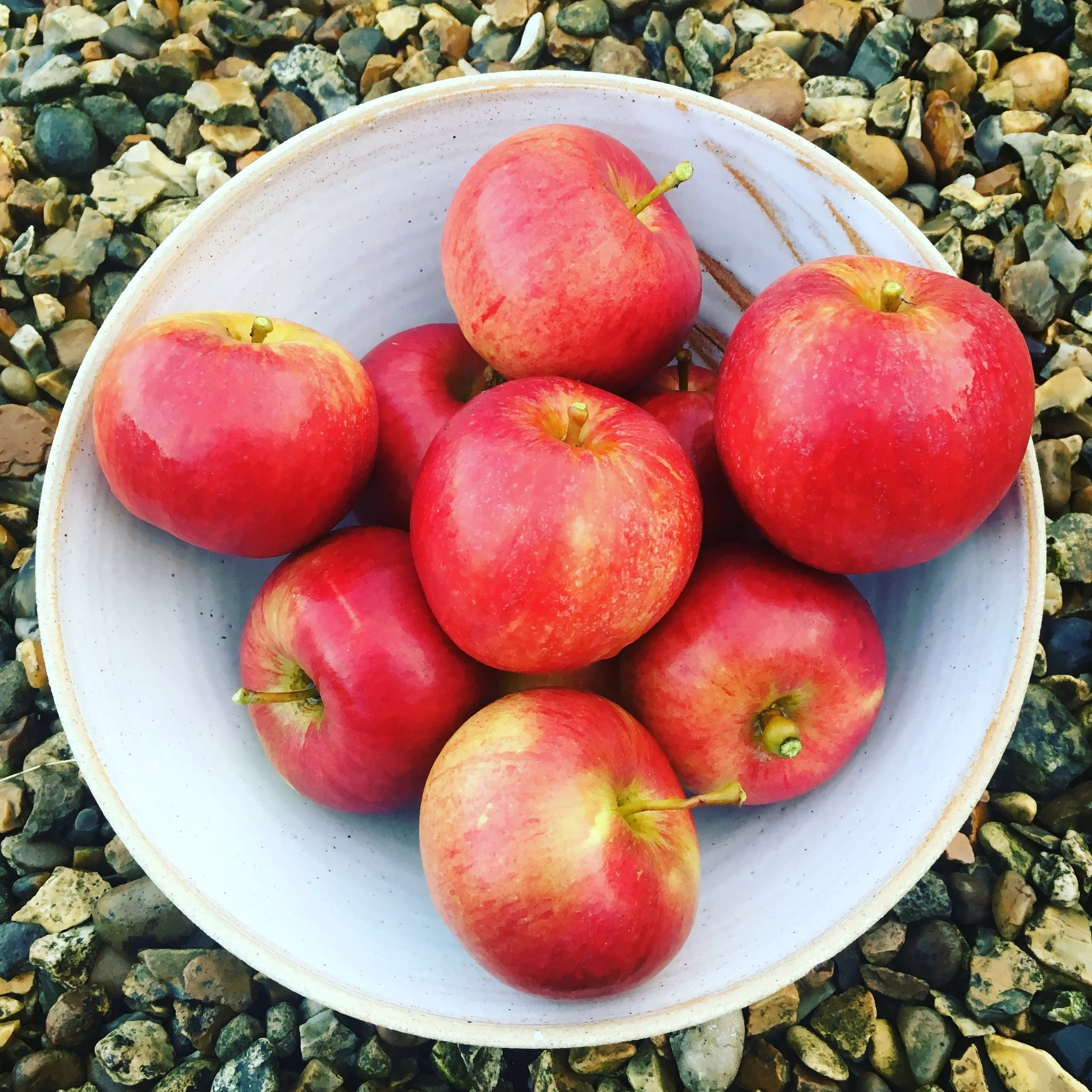 RedWinsor-Apple-PJtaste.JPG