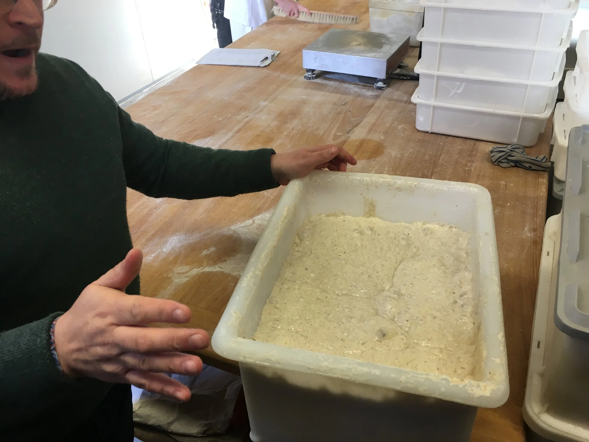 One of three sourdough starters that welbeck use for their traditional loaves