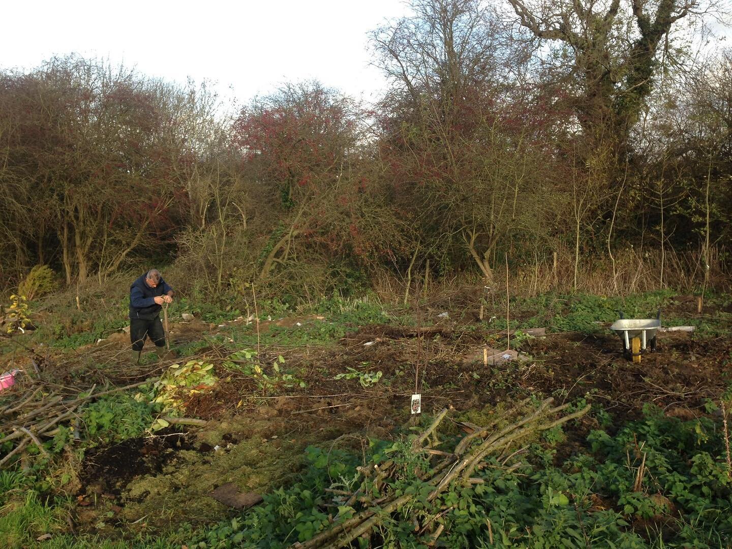 Establishing a Forest Garden. 

The first picture is from 2016 - clearing the space of scrub. The rest are from today with the trees already well established and good harvests already available with a buzzing, bio diverse environment.

Visible in the