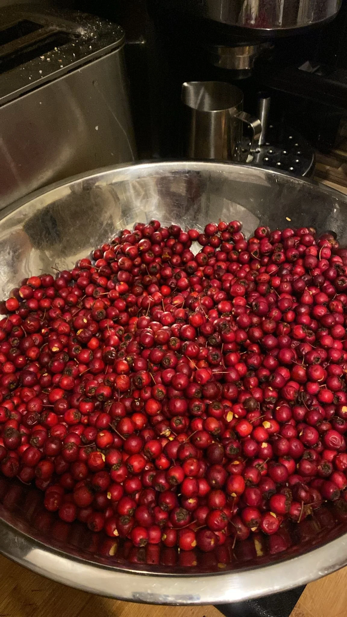 Hawthorn Berries