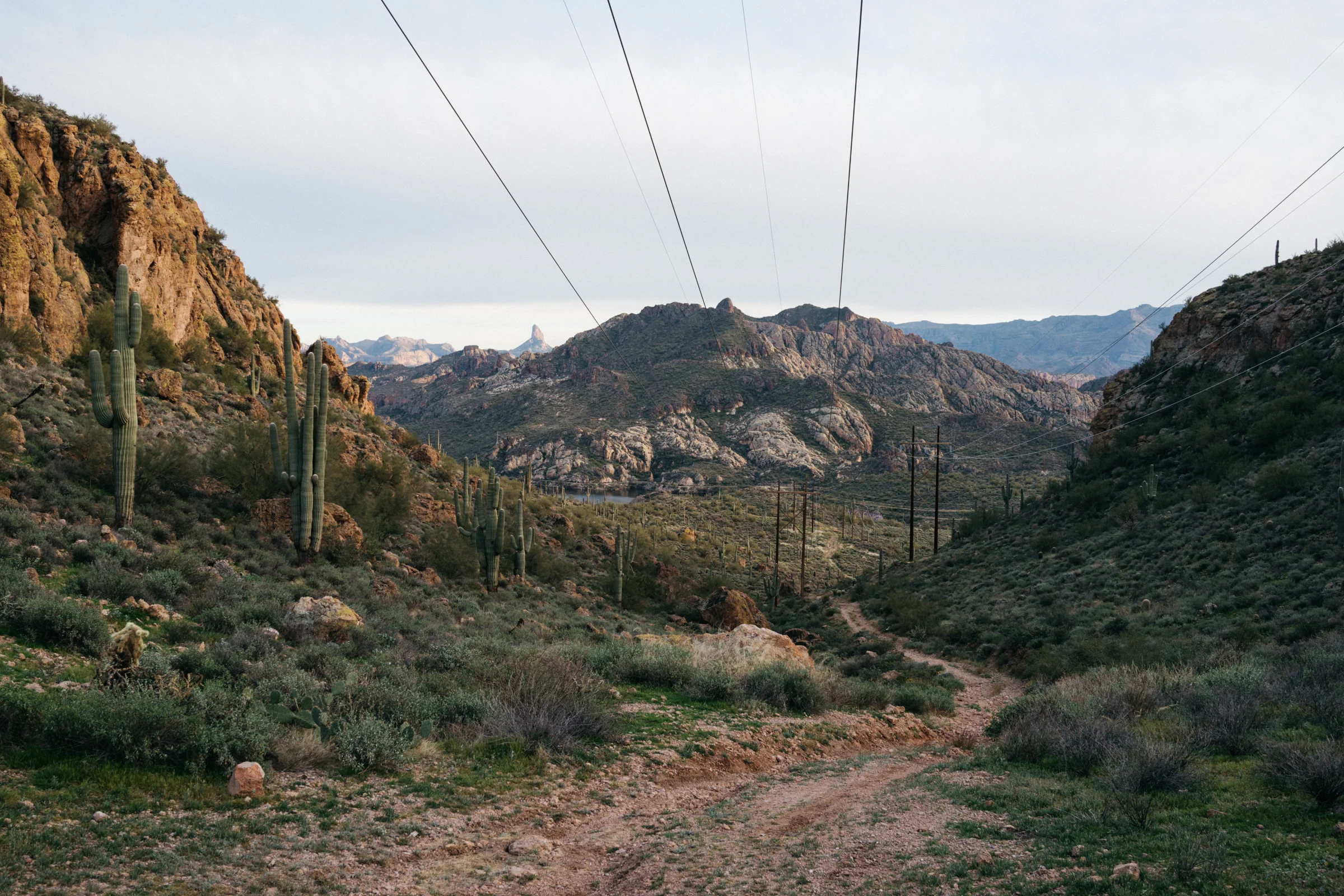 Arizona Green 2.jpg