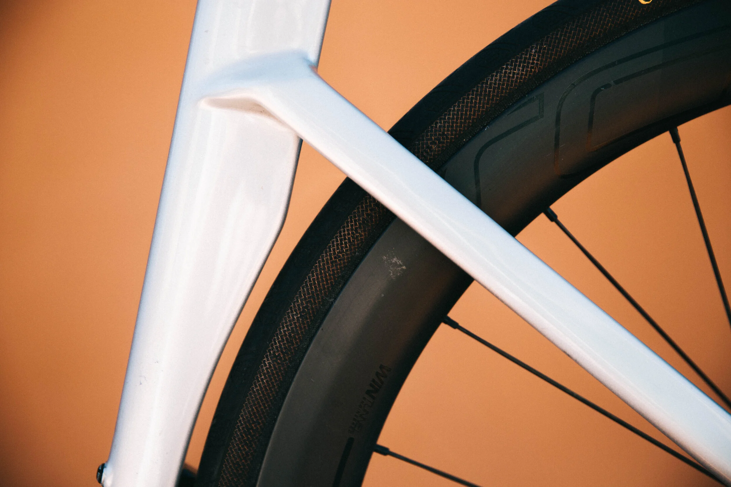 2018 Venge Rear Wheel Cutout.jpg