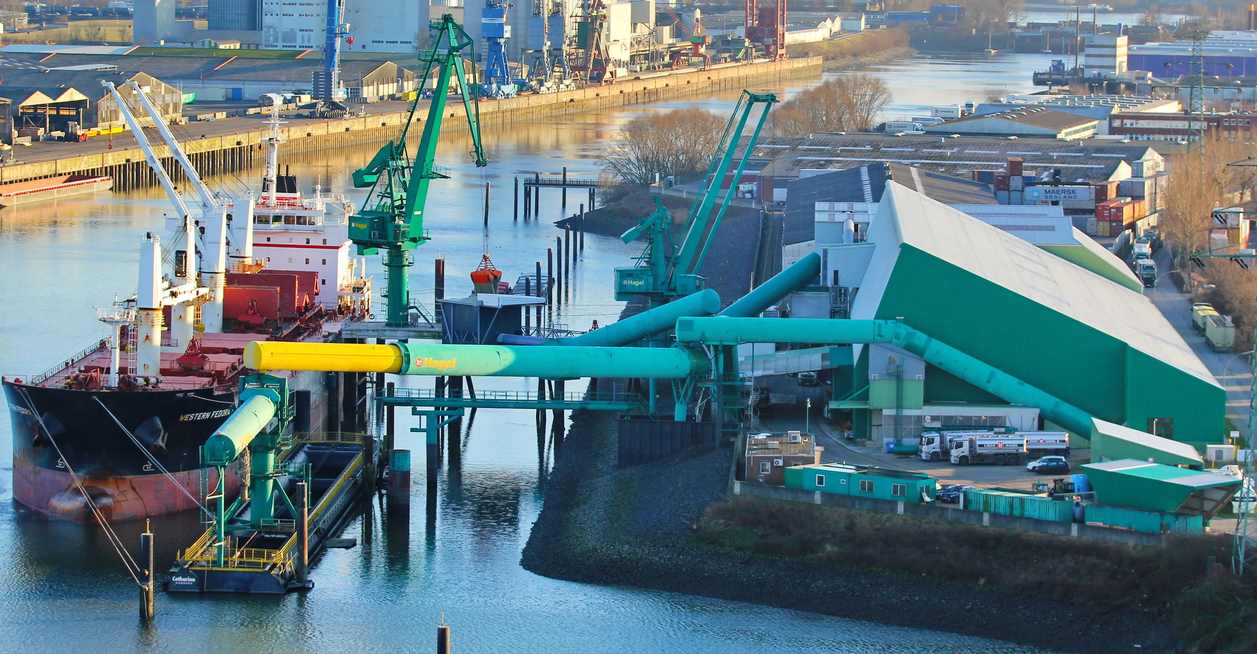 Western Fedora_08.JPG