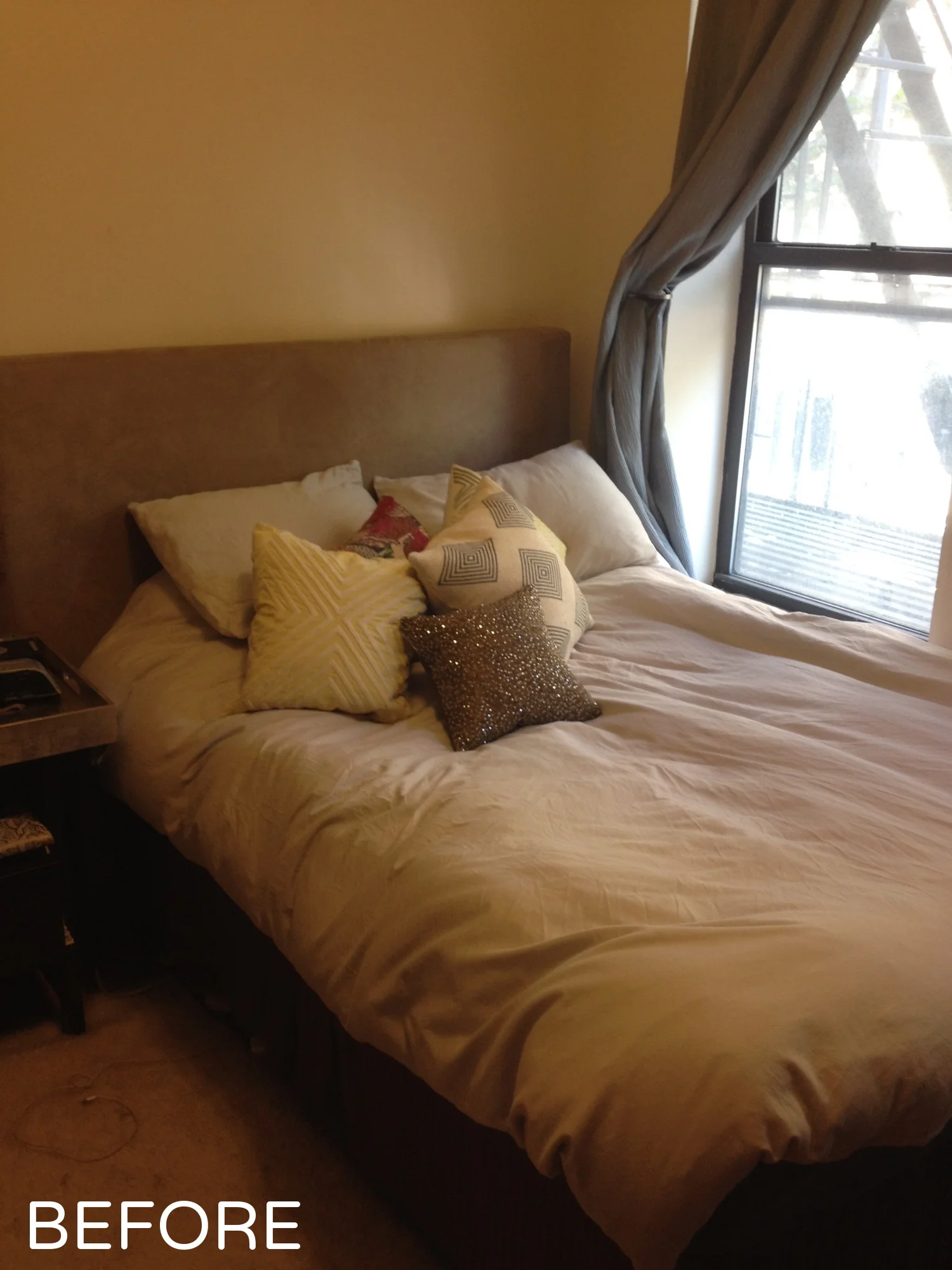 IMG_1570.jpeg
