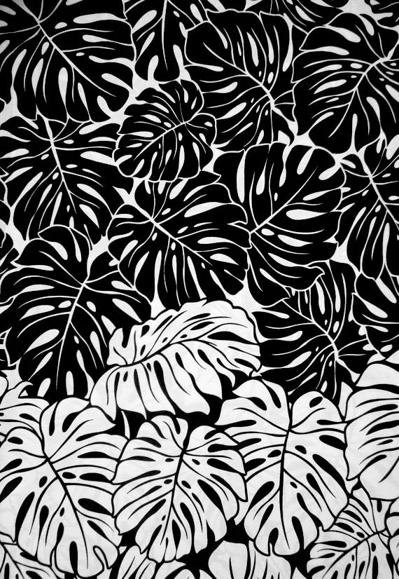 e325c8ae380008a63b4a459b81f15577.jpg