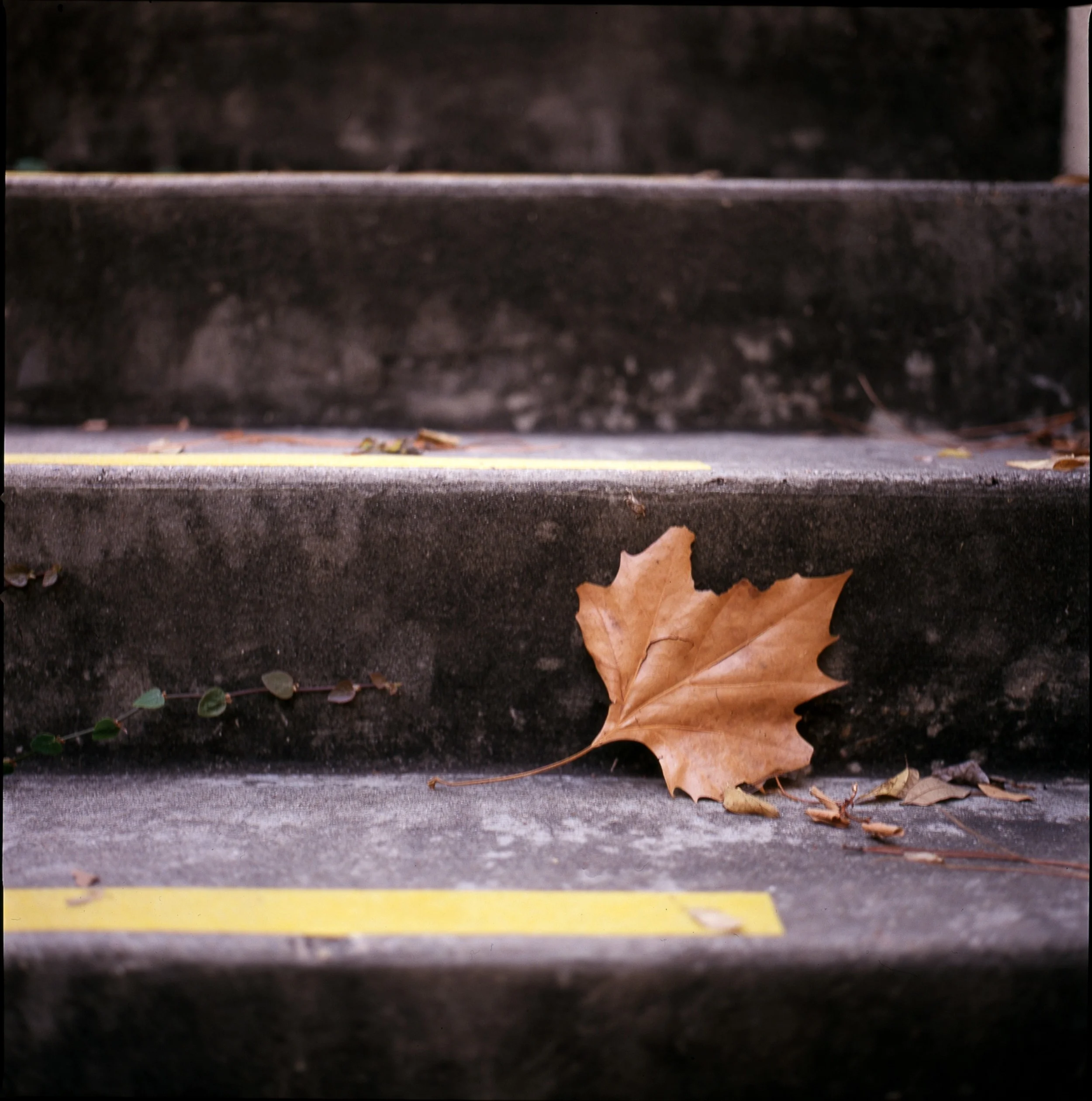 Take a Leaf of Paper