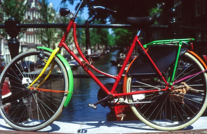 The Flamboyant Bicycle
