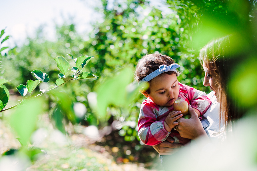 Melicks Farm Family Portraits Melicks Farm New Jersey Family Portrait Photographer Philadelphia Wedding Photographer Longbrook Photography-8.jpg