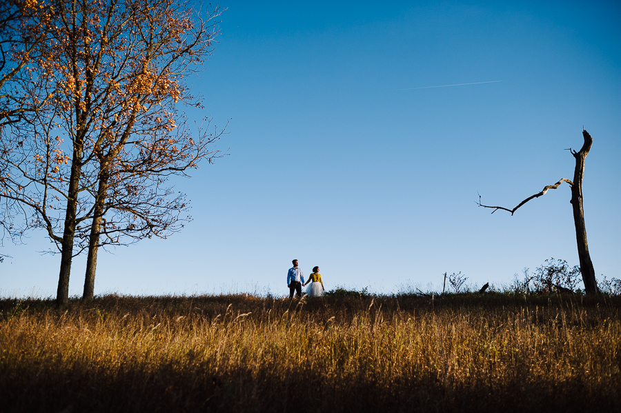 Rodale Farm Institute Wedding Photographer Trexler Nature Preserve Engagement Shoot Alexandra Grecco Tulle Skirt Philadelphia Weddings Longbrook Photography-13.jpg