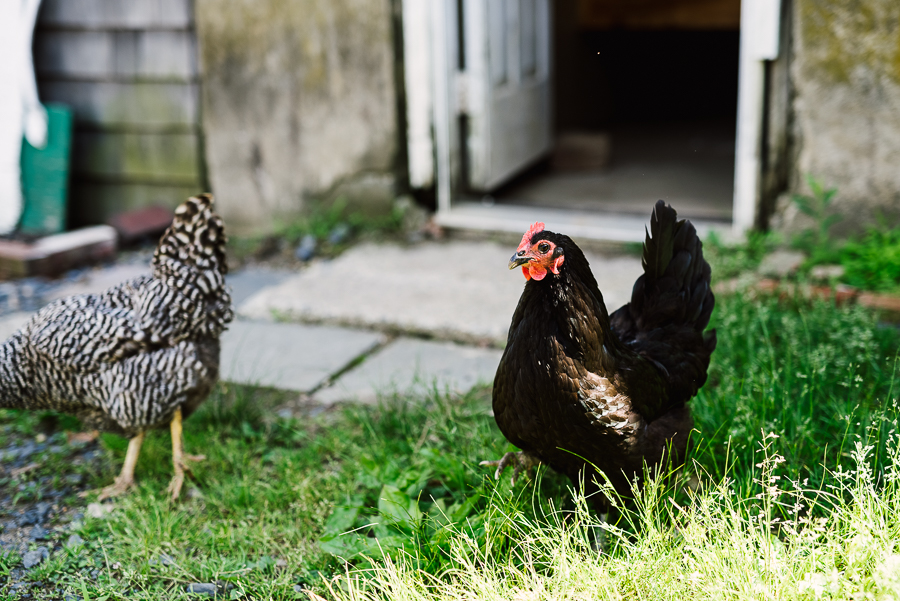 Fernbrook Farms Wedding Fernbrook Farms Wedding Photography Fernbrook Farms Wedding Photographer Longbrook Photography New Jersey Wedding-54.jpg