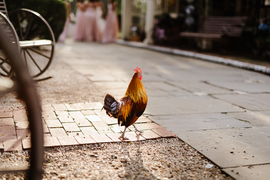 21-Milleridge Inn Weddings NYC Wedding Photographer Brooklyn Weddings Longbrook Photography.jpg