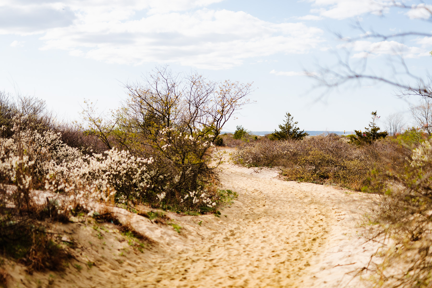 3-Sandy Hook NJ Wedding Photographer Sandy Hook NJ Beach NJ Beach Engagement Photography Longbrook Photography.jpg