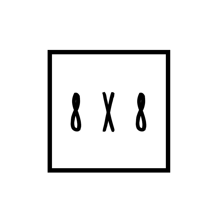 8x8.png