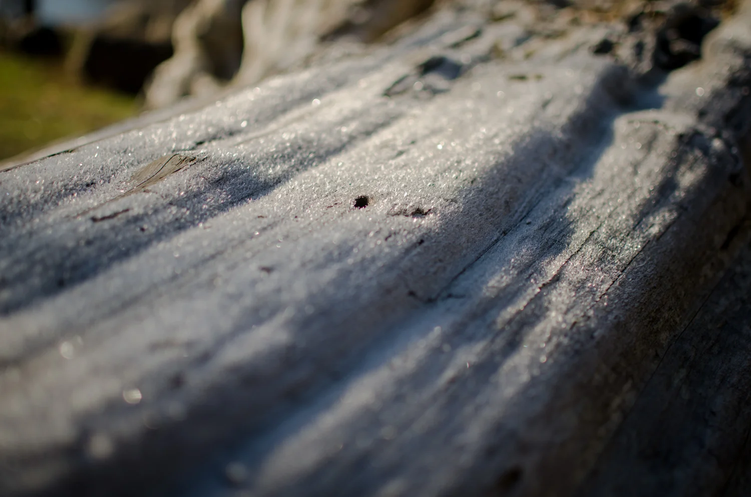 DSC_1499.jpg