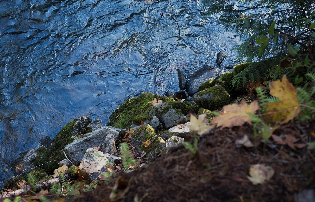 cathysly_20171106_9047-2.jpg