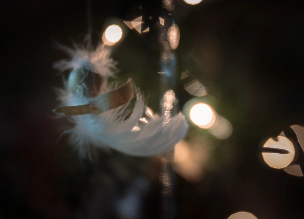 cathysly_20171217_0039.jpg