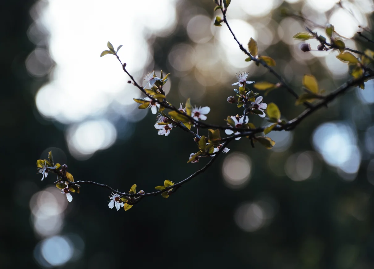 cathysly_20180314_1944.jpg
