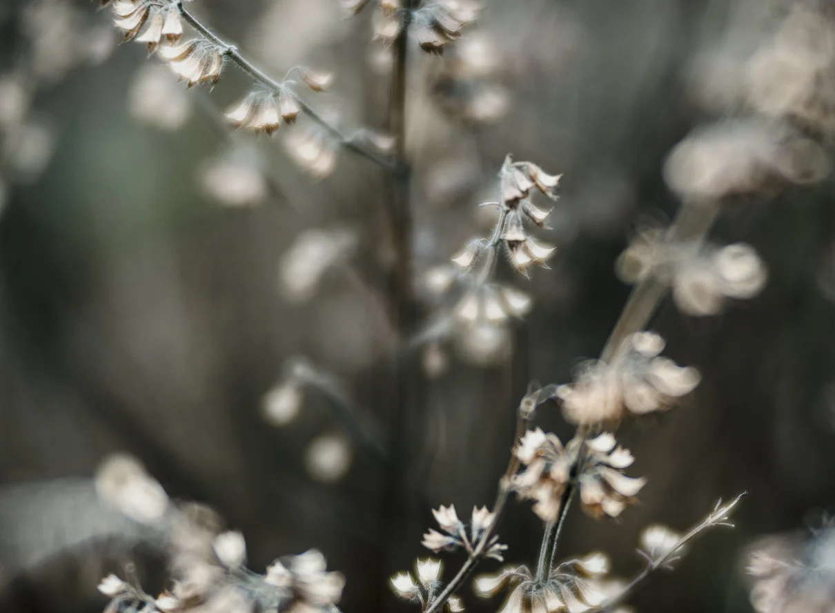 cathysly_20180325_2440.jpg