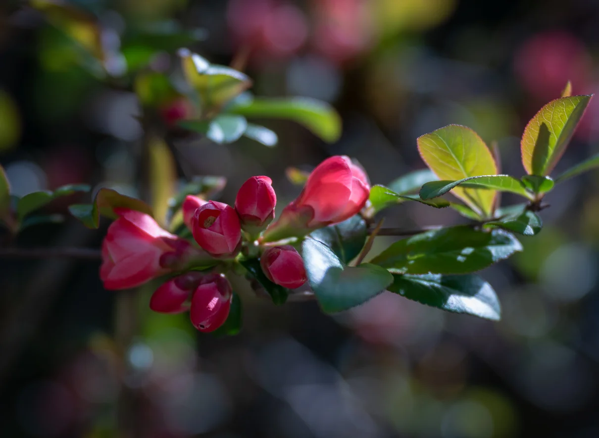 cathysly_20180409_2918.jpg
